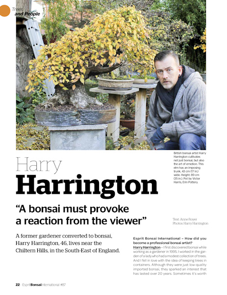bonsai interview